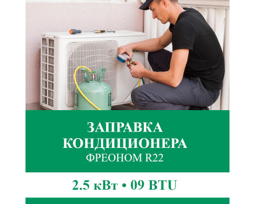Заправка кондиционера Euroklimat фреоном R22 до 2.5 кВт (09 BTU)